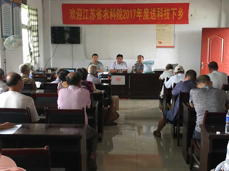 B1619徐州碾莊大蒜會(huì )議
