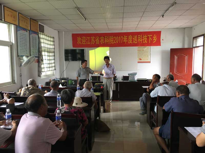 B1619徐州碾莊大蒜會(huì )議