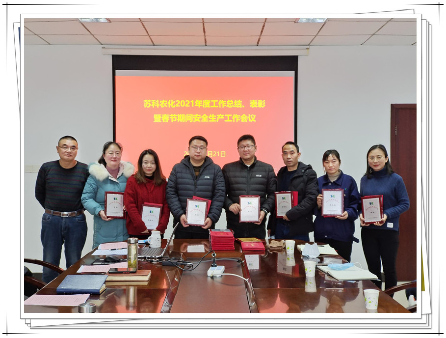 公司召開(kāi)年度工作總結、表彰暨春節期間安全生產(chǎn)工作會(huì )議