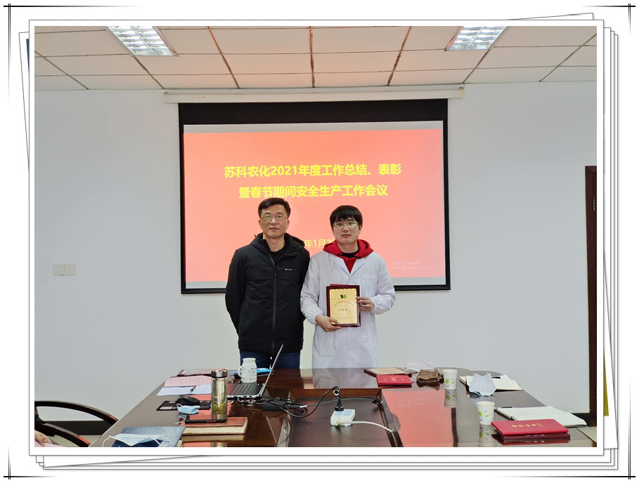 公司召開(kāi)年度工作總結、表彰暨春節期間安全生產(chǎn)工作會(huì )議