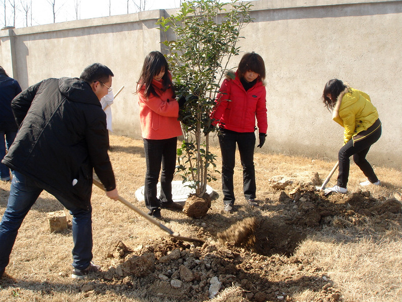 2011公司開(kāi)展義務(wù)植樹(shù)慶“三八”活動(dòng)