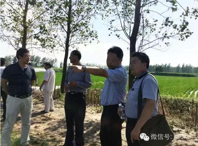 公司領(lǐng)導考察優(yōu)質(zhì)稻米病蟲(chóng)草無(wú)公害防控效果