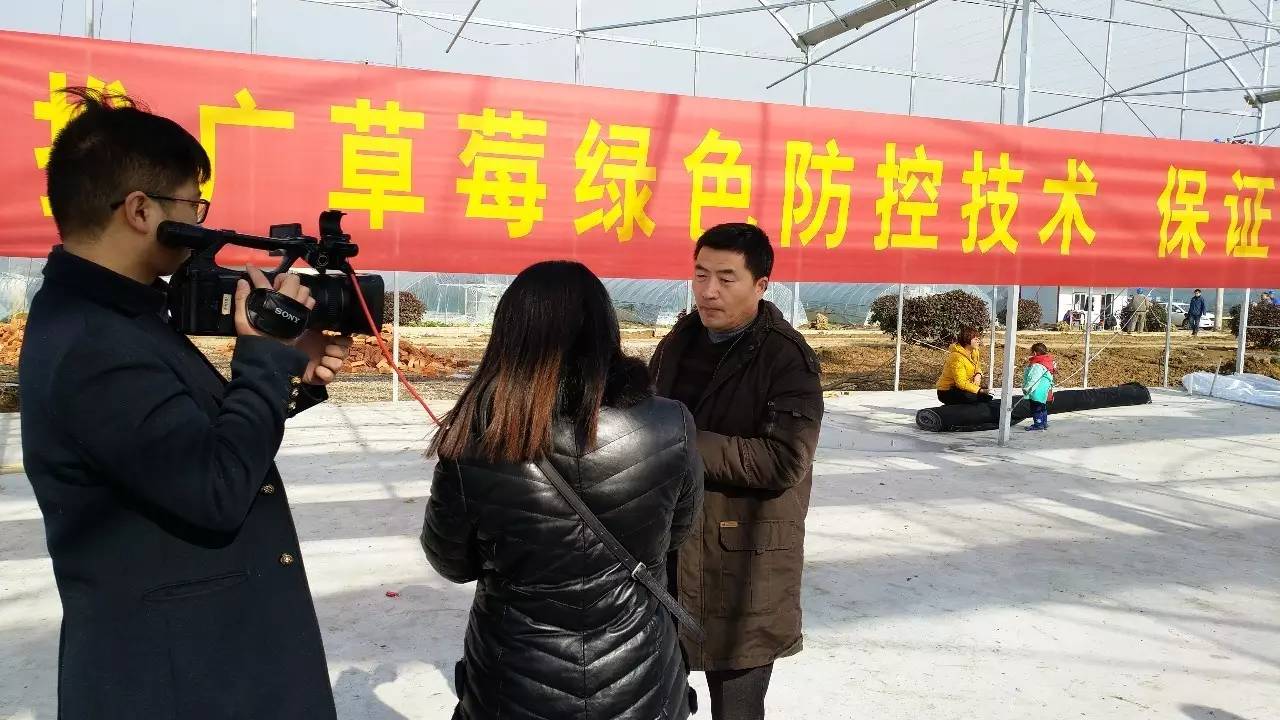 草莓綠色防控技術(shù)培訓在溧水成功舉辦