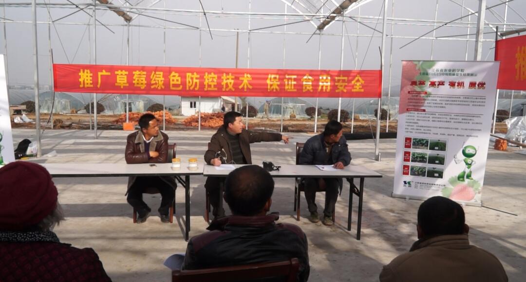 草莓綠色防控技術(shù)培訓在溧水成功舉辦