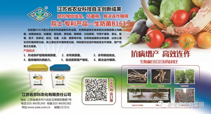 “新農民新技術(shù)創(chuàng  )業(yè)創(chuàng  )新大會(huì )”給我們帶來(lái)的機遇