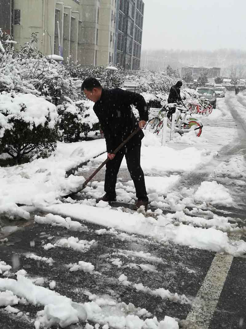 暴雪過(guò)后