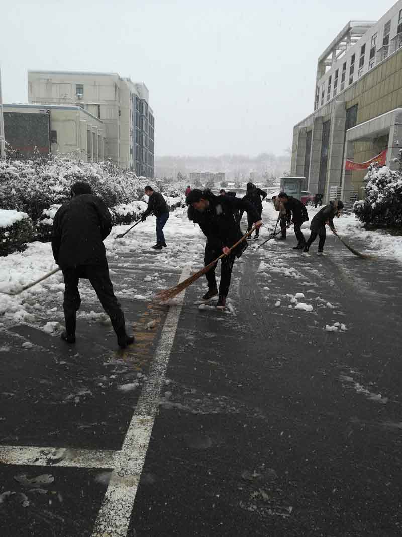 暴雪過(guò)后