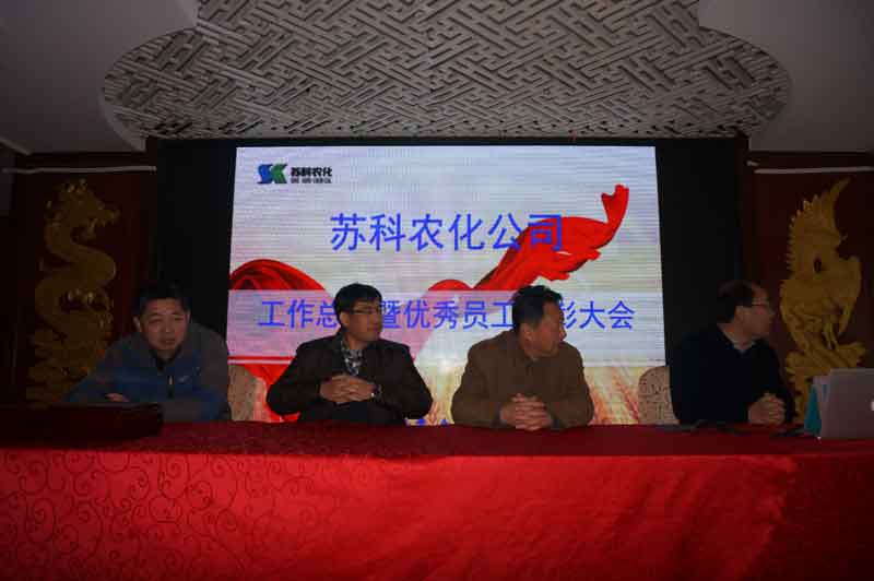 公司召開(kāi)2017年度總結表彰大會(huì )